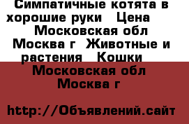 Симпатичные котята в хорошие руки › Цена ­ 10 - Московская обл., Москва г. Животные и растения » Кошки   . Московская обл.,Москва г.